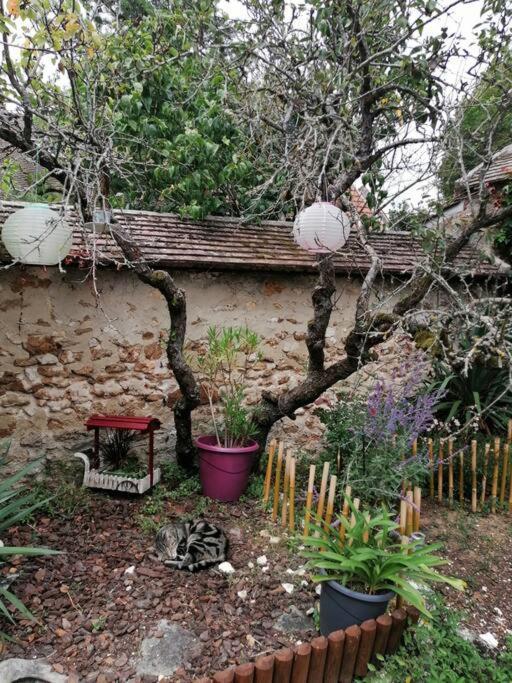 Maison A Proximite De Barbizon / Fontainebleau / A6 Saint-Sauveur-sur-Ecole Zewnętrze zdjęcie